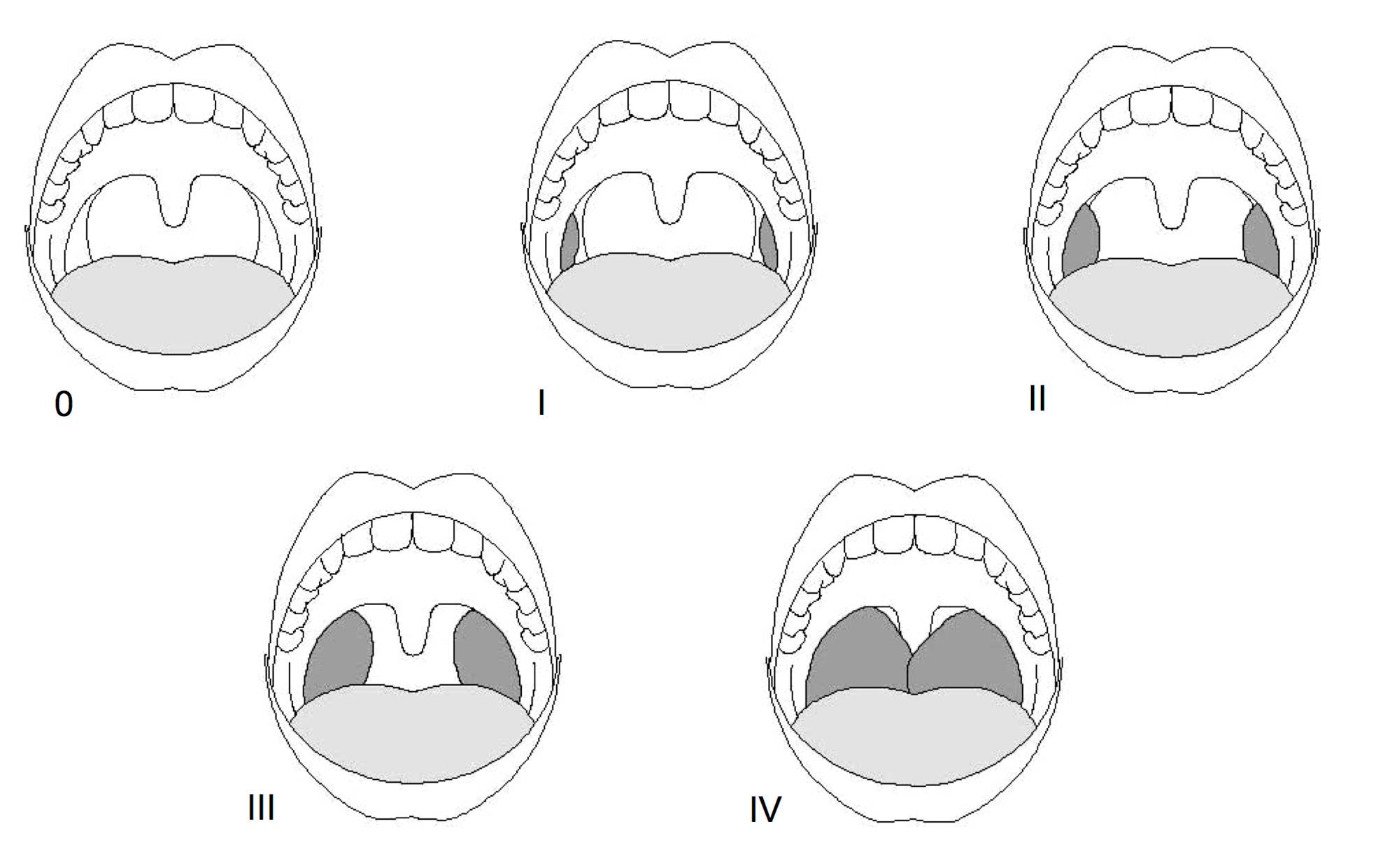 Clínica Fridman- Otorrinolaringologia